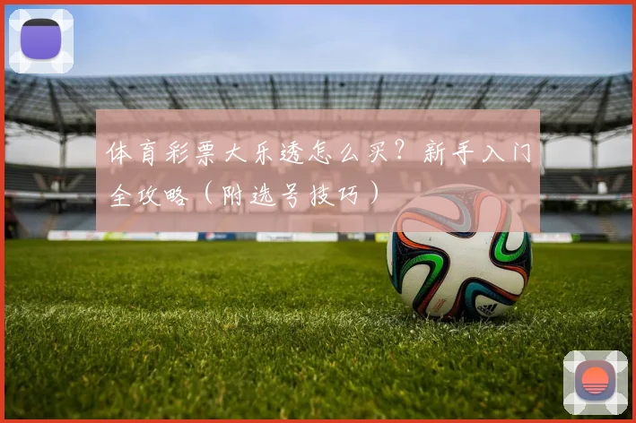 体育彩票大乐透怎么买？新手入门全攻略（附选号技巧）