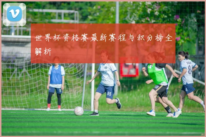 世界杯资格赛最新赛程与积分榜全解析